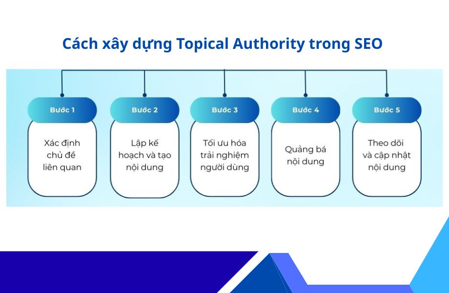 Xây dựng Xác định Topical Authority hiệu quả