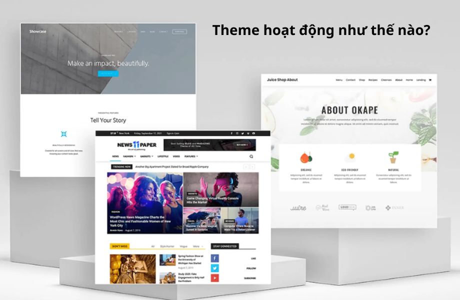 Theme hoạt động ra sao với website